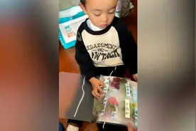 3岁男孩将植物收集成册，妈妈：从小带他观察，他很喜欢图片