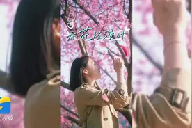 风传花信 相逢有时 临沂赏花攻略来了～图片