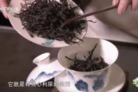 解春困、消疲劳？秘密都在这杯茶里！图片