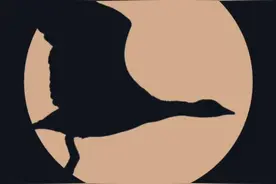 这些高原上的“精灵”，你认识吗？图片