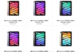 官翻版iPad mini 6开售：便宜不少图片