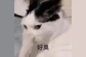 卫生间看着挺干净，却总有“异味”？多半是这2个问题！超有用的解决方法来了→图片