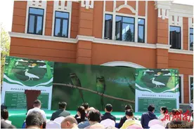 湘江流域是候鸟迁徙通道 长沙启动“爱鸟周”图片