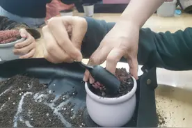 口述｜一位自闭症孩子的20年成长与融合之路图片