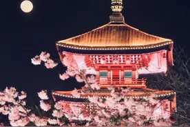 最新！东湖樱花园即日起将关闭夜场图片