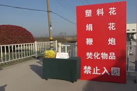 盐城：新规施行第一天，墓园祭扫秩序井然视频封面