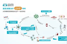 细胞治疗安全性考量--使用PR工艺人血小板裂解物降低风险图片
