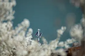千城胜景｜陕西白河：山城春色图片