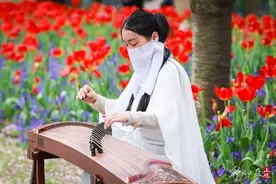 赏花又有好去处：在黄浦滨江琴键春园感受樱花和郁金香的双重浪漫图片