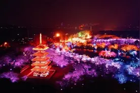 东湖樱花园夜场闭幕，还有这些夜游玩法不要错过图片