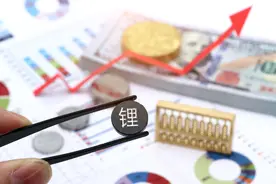 当黑芝麻开始叫卖锂电池，是谁再也坐不住了？图片