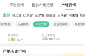 一串能换一袋大米的阳光葡萄便宜了！30元能买一斤，秘密藏在这里图片