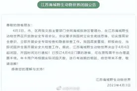 闭园整改！图片