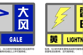 雷电+大风预警！昨晚闪电击中东方明珠？最新提醒→图片