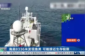 海底8336米发现鱼类 可能接近生存极限