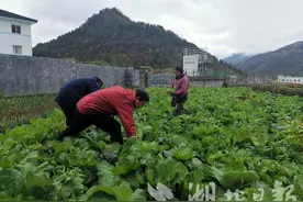 暴雨冰雹来袭 鹤峰县积极组织干群灾后自救图片