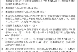 盈利下降超四成，中海依旧认定“住宅开发是好生意”图片