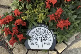 广西：推进节地生态安葬 让生命“终归”自然图片