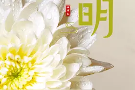 今日清明！万物生长此时，皆清洁而明净图片