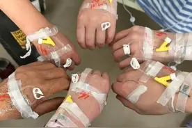 警惕！有毒，一家6口扫墓后紧急入院图片