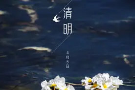 今日清明：万物生长，春和景明图片