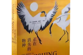 读书｜考拉面临生存危机，可能因营养不良而逐渐消失图片