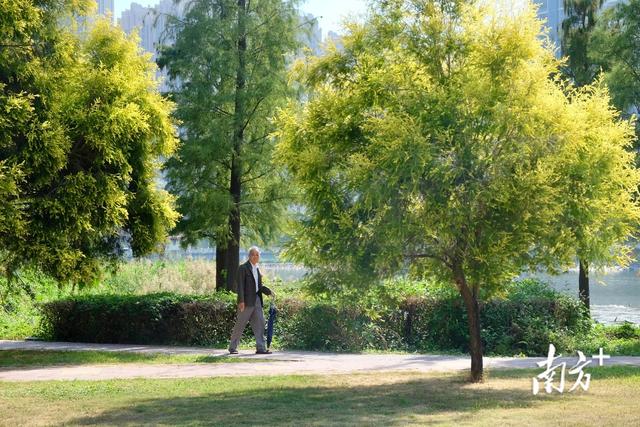 重新认识一下！我叫揭阳，这是我2023年的最新简历