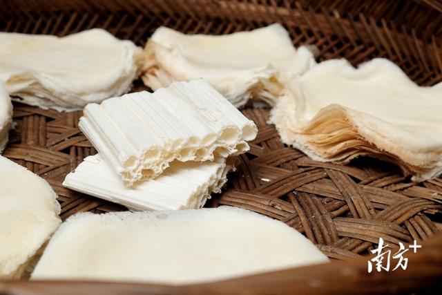 重新认识一下！我叫揭阳，这是我2023年的最新简历