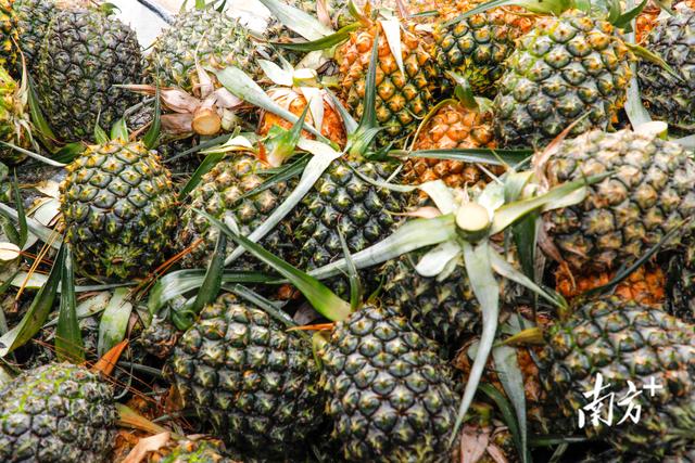 重新认识一下！我叫揭阳，这是我2023年的最新简历