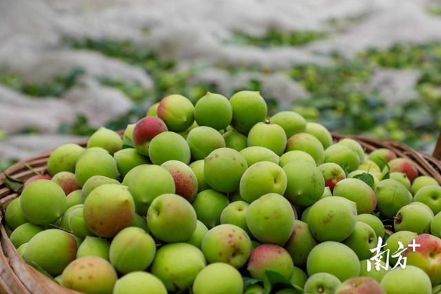 重新认识一下！我叫揭阳，这是我2023年的最新简历