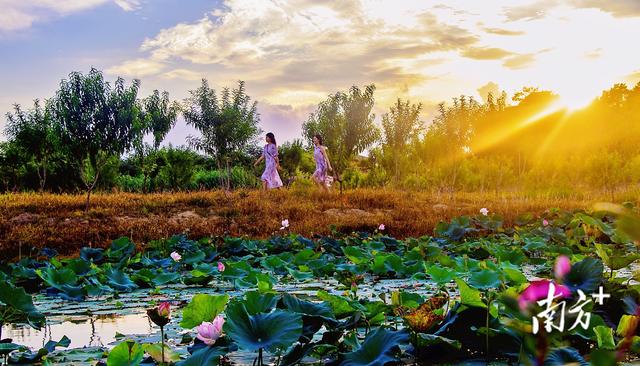 重新认识一下！我叫揭阳，这是我2023年的最新简历