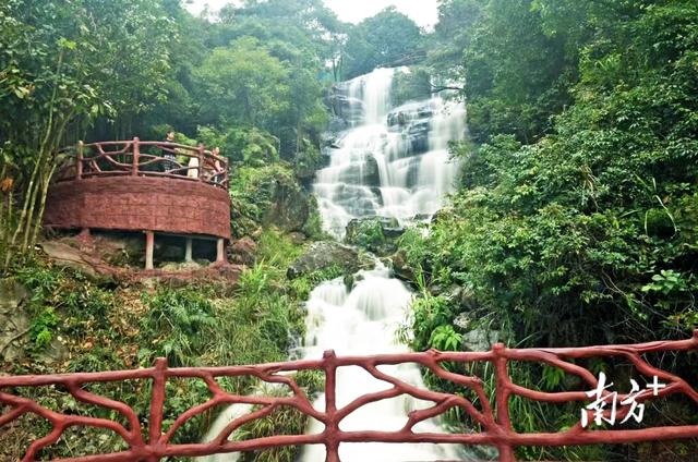 重新认识一下！我叫揭阳，这是我2023年的最新简历