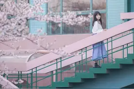 樱樱樱，舍不得说再见~图片
