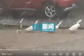 多地遭冰雹突袭，专家：气候变化使极端天气增多图片