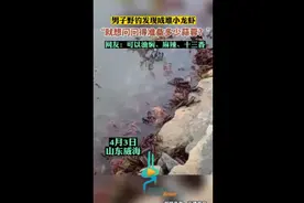 男子野钓发现成堆小龙虾,“就想问问得准备多少蒜蓉”？图片