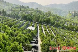 南宁各大墓园发布提醒信息，市民祭扫前要留意→图片