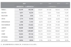 余鹏鲲：华为的困境，给了中国企业什么教训？图片