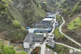 追光的新农人｜唐果：从媒体人到茶叶新农人 热情永不变图片