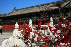 四月天春满大观园，一步一景带你“梦回红楼”图片