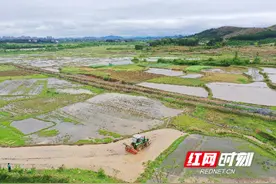湖南道县：清明至 农事忙（组图）图片
