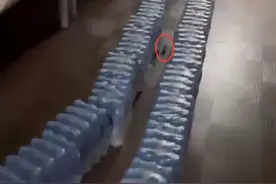 女子为赶走厕所老鼠用矿泉水瓶搭通道，网友：老鼠做梦也没想到走了ETC通道图片