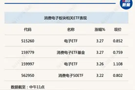 行业风向标丨再树里程碑，AI赋能消费电子趋势明确图片