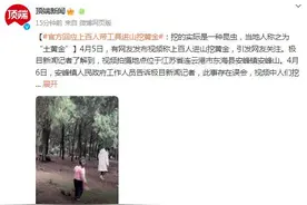 官方回应上百人带工具进山挖黄金：挖的实际是一种昆虫，当地人称之为“土黄金”图片