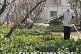 河北：今年将新增提升城市绿地1000公顷图片