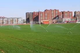 清明前后小麦管理要注意图片