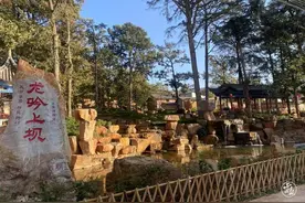 曲靖市麒麟区越州镇：绿美越州越来越“靓”图片