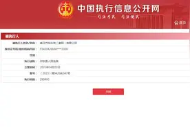 威马汽车衡阳公司成被执行人，被执行超1300万图片