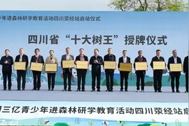 最老约2300岁！四川“十大树王”是它们 ​图片