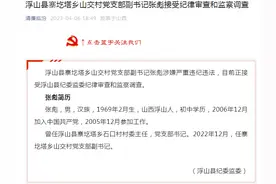 临汾市浮山县寨圪塔乡山交村党支部副书记张彪被查图片