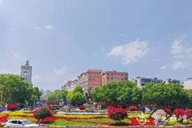 云南：绿化带里花样多图片
